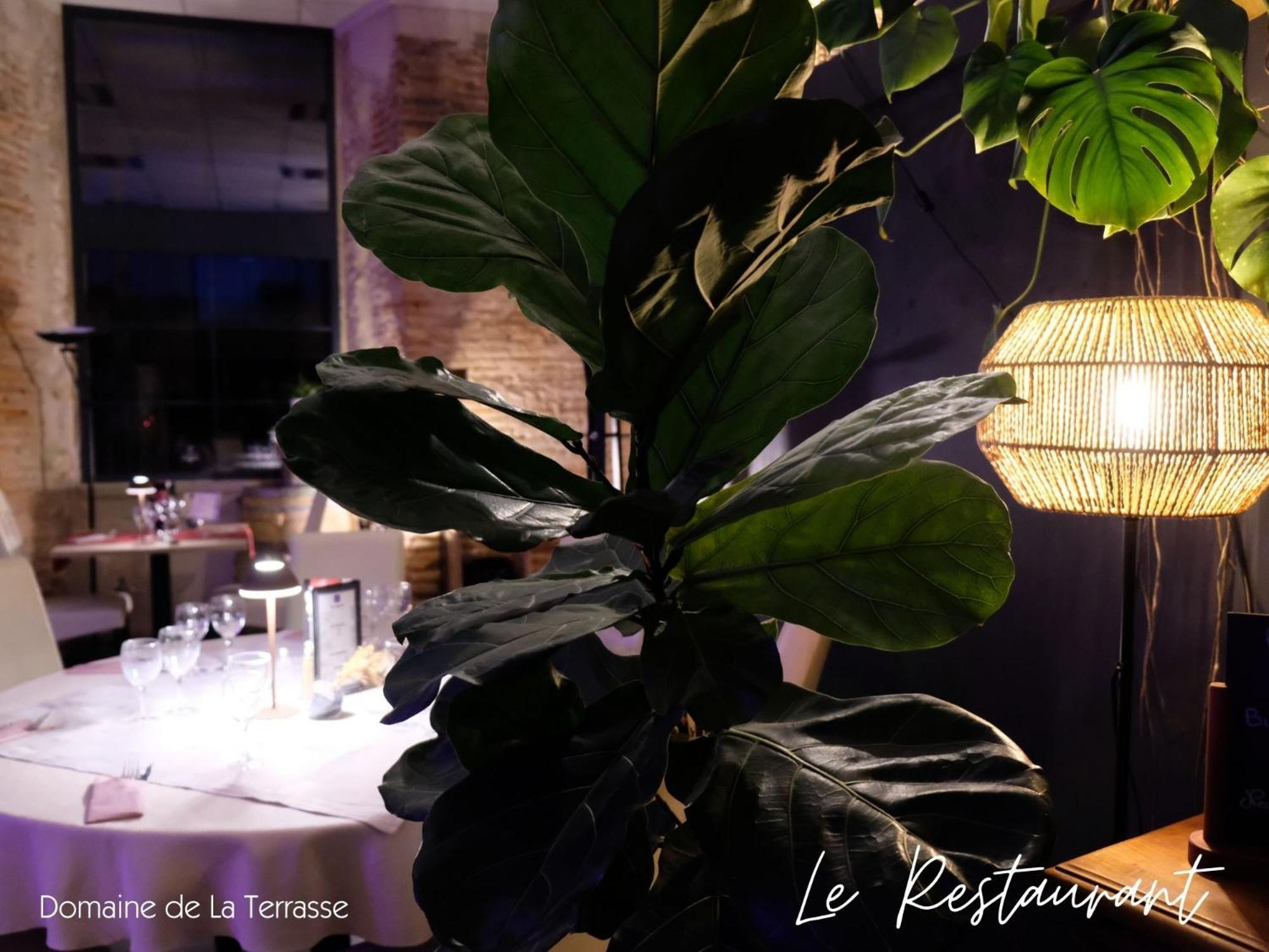 Carbonne Domaine De La Terrasse 아파트 외부 사진